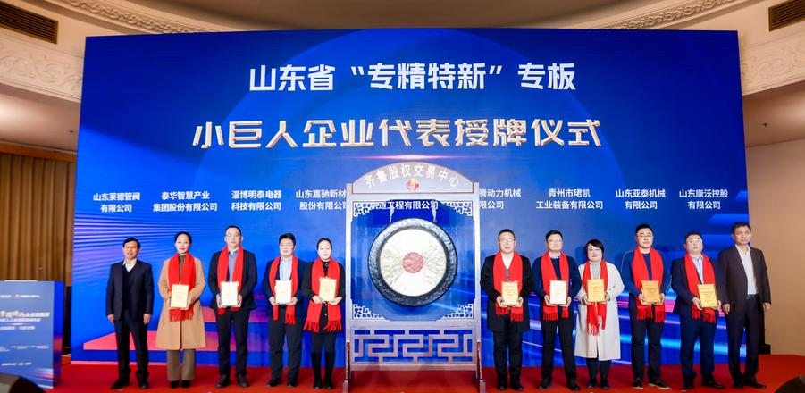 图片[4] - 赋能专精特新小巨人！长三角新质生产力高端会计人才联合培养项目正式启动 - 黑料吃瓜-最新娱乐八卦爆料平台-明星热点新闻实时更新