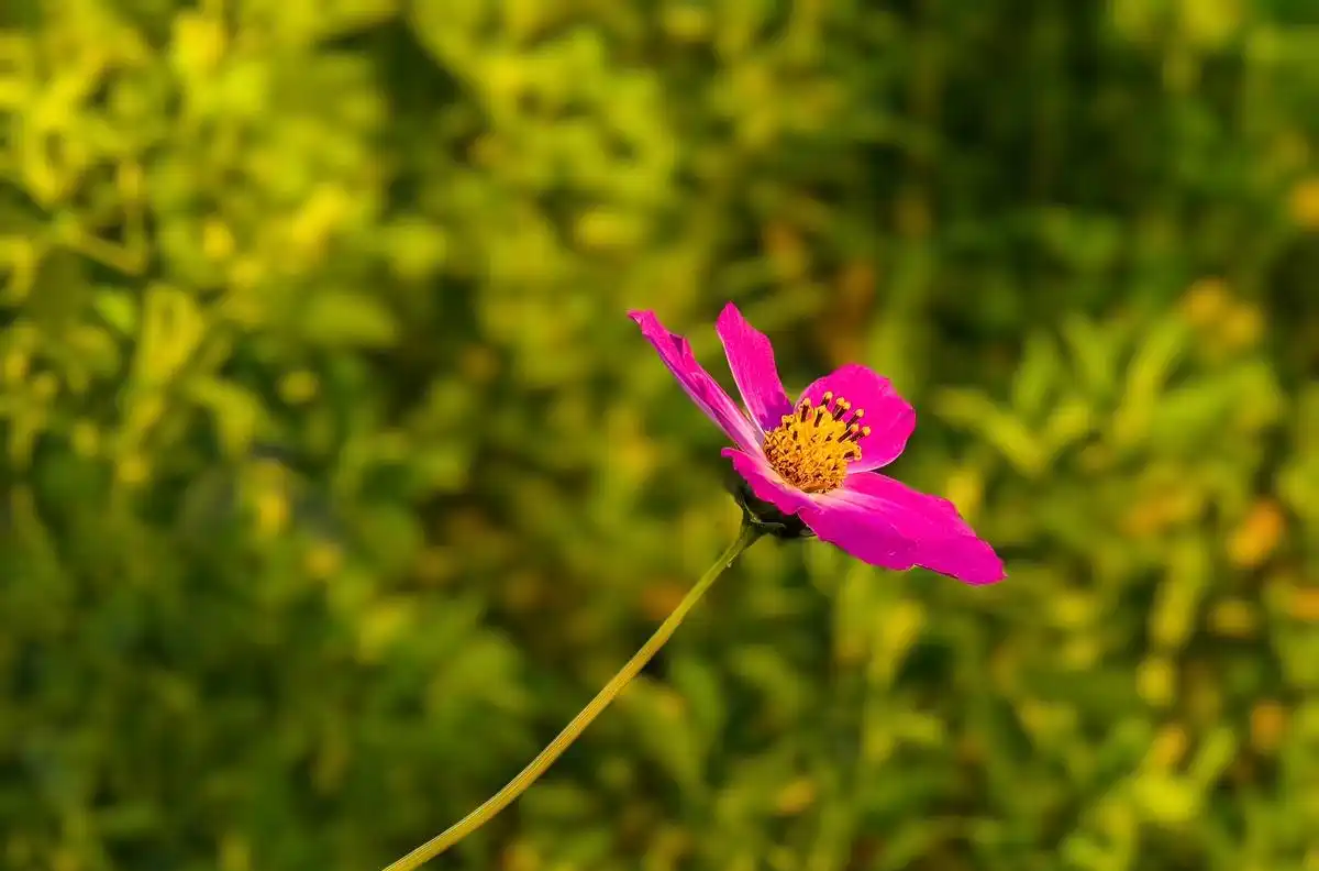 图片[1] - 遇见你，是上天最美的缘分！爱上你，是灵魂最美的情思；你是我人间最值得的相遇 - 黑料吃瓜-最新娱乐八卦爆料平台-明星热点新闻实时更新