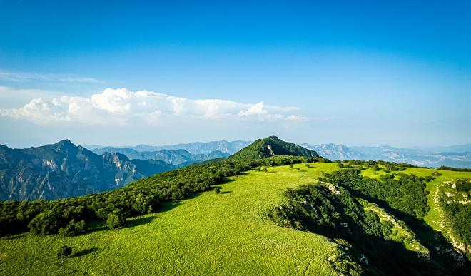 图片[1] - 商业洞察：万哥人脉与忍耐力远超老李，如何沉着应对商海风浪？ - 黑料吃瓜-最新娱乐八卦爆料平台-明星热点新闻实时更新